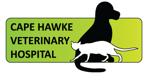Cape Hawke Veterinary Hospital
