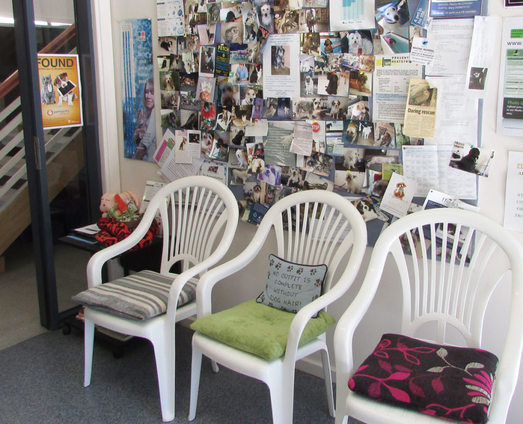 Cape Hawke Vet waiting room