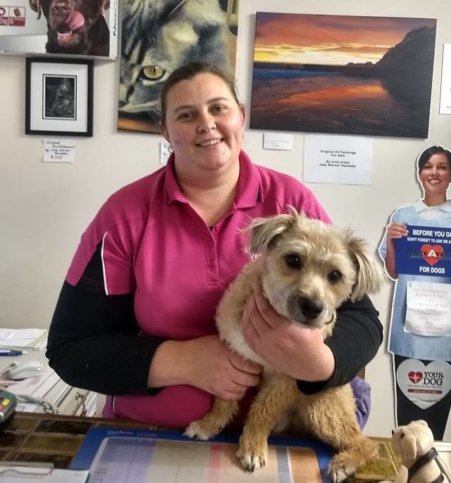 Meet Our Staff Cape Hawke Veterinary Hospital Forster
